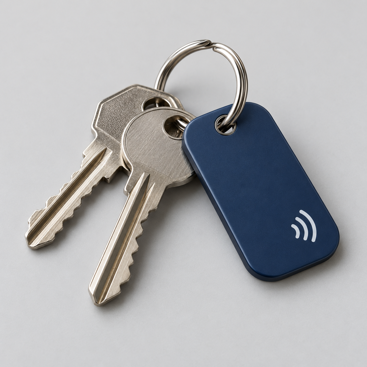 Keys with a recovery tag on a keyring
